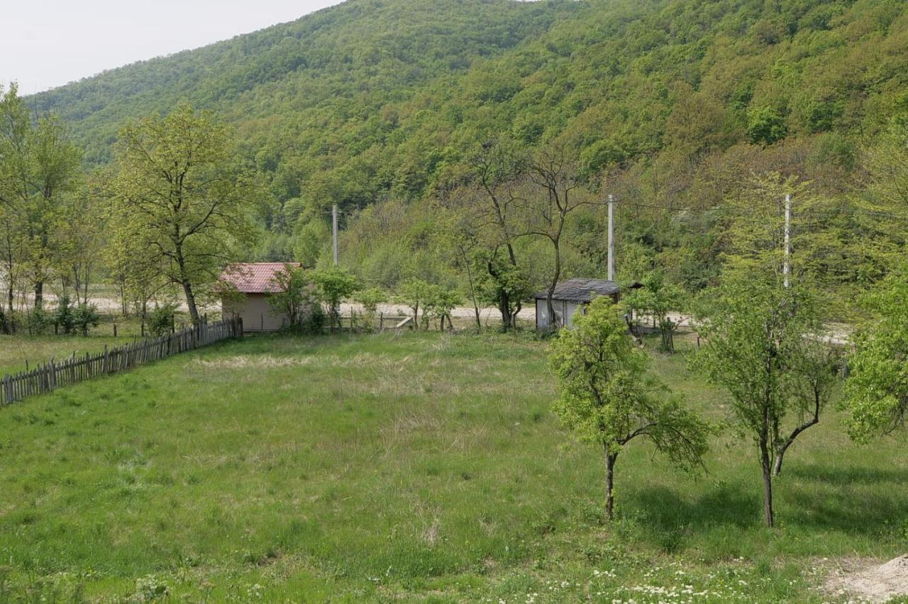 Pensiunea Happy Schitu Topolnitei Εξωτερικό φωτογραφία